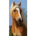 Jerry Fabrics Dětská osuška Kůň brown 70 x 140 cm – Zboží Mobilmania