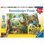 Ravensburger Zvířata v zoo lese nebo v domě 3 x 49 dílků – Hledejceny.cz