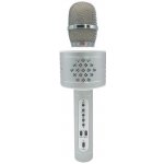 Teddies Mikrofon na karaoke s bluetooth stříbrný 25 cm – Zboží Dáma Teddies Mikrofon na karaoke s bluetooth stříbrný 25 cm – Zboží Dáma