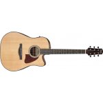 Ibanez AAD51CE-NT – Sleviste.cz
