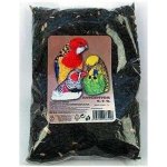 AVICENTRA slunečnice černá 500 g – Zboží Dáma