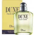 Christian Dior Dune toaletní voda pánská 100 ml – Zboží Mobilmania