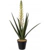 Květina Umělý kaktus Aloe s květem v květináči, 65cm