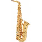 RYU saxophones Ryu RSA Academy SET – Zboží Dáma
