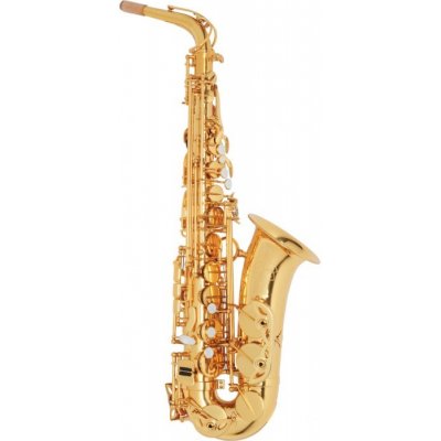 RYU saxophones Ryu RSA Academy SET – Zboží Dáma