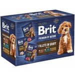 Brit Premium by Nature Adult Dog Fillets in Gravy Multipack 12 x 85 g – Sleviste.cz