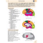Memorix anatomie - 6. české vydání – Zboží Dáma Memorix anatomie - 6. české vydání – Zboží Dáma