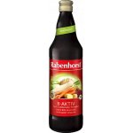 Rabenhorst Šťáva B- Aktiv recept dle Breusse Bio 0,75 l – Sleviste.cz
