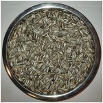 Avicentra Slunečnice žíhaná 25 kg – Zbozi.Blesk.cz