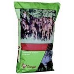 Energys Mineral 10 kg – Hledejceny.cz