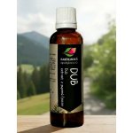 Rabštejnská apatyka Dub tinktura z pupenů 50 ml – Hledejceny.cz