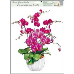 Anděl Přerov Okenní fólie bez lepidla orchideje tmavě růžová 42 x 30 cm