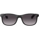 Ray-Ban RB4202 601 8G