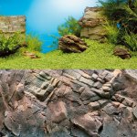 Juwel pozadí Poster 1 S Plant Reef 60 x 30 cm – Zboží Dáma