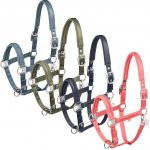 Eskadron Ohlávka Classic Sports Mattgloss Jewel Double Pin dusty olive – Zboží Mobilmania