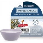 Yankee Candle vonný vosk North Pole Hideaway 22 g – Zboží Dáma