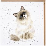 Přání Wrendale Designs "Paws for Thought", 15x15 cm - Kočka – Zboží Mobilmania