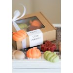 Louky Studio vonné vosky do aroma lampy Cozy Autumn 200 g – Hledejceny.cz