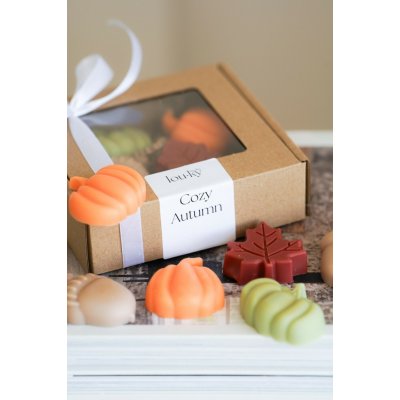 Louky Studio vonné vosky do aroma lampy Cozy Autumn 200 g – Hledejceny.cz