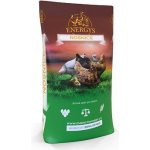 Energys Nosnice Gold granule 10 kg – Hledejceny.cz