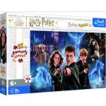 Trefl Kouzelný svět Harryho Pottera 160 XL dílků – Hledejceny.cz