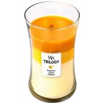 WoodWick Trilogy Fruits of Summer 609,5 g – Hledejceny.cz