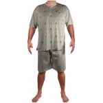 Pyžamo pánské krátký rukáv Mirek 2-OGC-TO-33 khaki – Hledejceny.cz