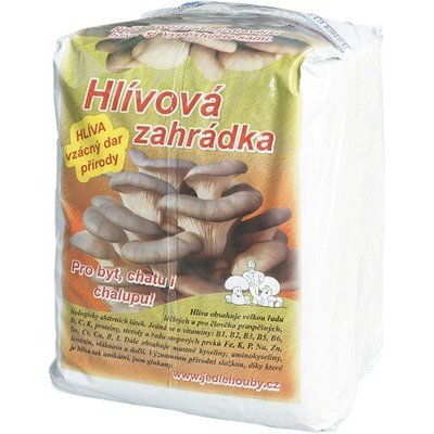 Hlívová zahrádka (ústřičná) 6 kg Jedlehouby – Zboží Mobilmania