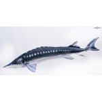 Gaby polštář ryba Jeseter giant 120 cm – Zboží Dáma