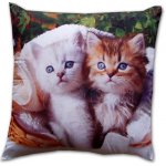 Dadka polštář kotě 40x40 – Sleviste.cz
