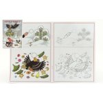 Krtek a Vánoce Omalovánky A5 – Zboží Dáma