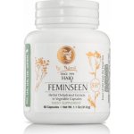 Dr.Nona Feminseen na menopauzu a hormonální systém 60 kapslí – Hledejceny.cz
