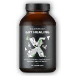 BrainMax Gut Healing střeva a trávení 180 kapslí – Hledejceny.cz
