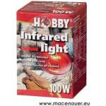 Hobby Infrared light 75 W – Sleviste.cz