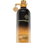 Montale So Amber parfémovaná voda unisex 100 ml – Hledejceny.cz