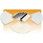 Zebra Premier 3-Up breakaway key tags PVC card (5x100 ks) (104523-020) – Zboží Živě