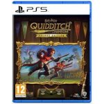 Harry Potter: Quidditch Champions (Deluxe Edition) – Zbozi.Blesk.cz