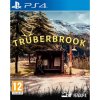 Hra na PS4 Trüberbrook