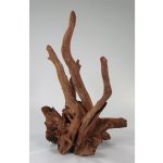 Macenauer Corbo-Wurzel S 30-40 cm – Zboží Dáma