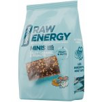 Bombus Raw Energy Minis 10 x 15 g – Zboží Dáma