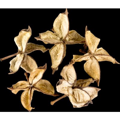 Vánoční Dekorace Cotton Flower 5 ks – Zboží Dáma