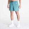 Pánské kraťasy a šortky Nike ACG Men's Hiking shorts Bicoastal/ Vintage Green/ Summit White