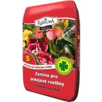 Rašelina Soběslav Zemina pro pokojové rostliny 5 l – Hledejceny.cz