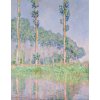 Plakát Obrazová reprodukce Poplars, Pink Effect (1891), Claude Monet, 30 × 40 cm