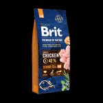 Brit Premium by Nature Senior S+M Chicken 15 kg – Sleviste.cz