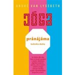 Pránájáma - technika dechu - André Van Lysebeth – Hledejceny.cz