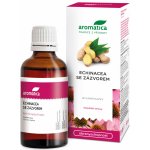 Aromatica Echinacea se zázvorem bylin.kapky 100 ml – Hledejceny.cz