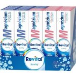 Revital Magnesium + B6 šumivý Mix Box 2 příchutě 20 x 20 tablet – Hledejceny.cz