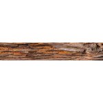 Dimex KI350-062 Samolepící fototapeta do kuchyně Tree bark rozměry 350 x 60 cm – Zbozi.Blesk.cz