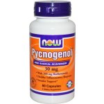 Now Foods Pycnogenol s Bioflavonoidy 30 mg 60 kapslí – Hledejceny.cz